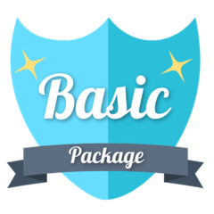 Basic Package Plan For Small Size Business
